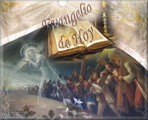 Lời Chúa Ngày 14/07/2025: Thứ Hai tuần 15 Thường niên năm I – Chúa sẽ đền bù (Mt 10,34-11,1)