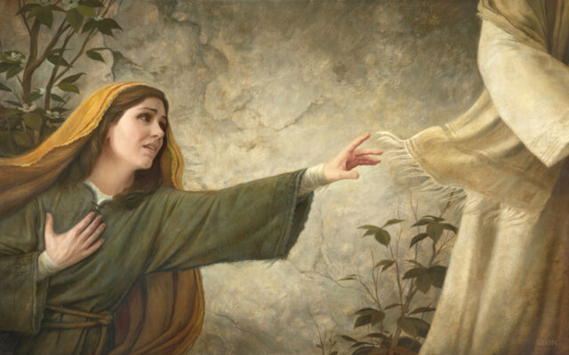 Lời Chúa Ngày 07/07/2025: Thứ Hai tuần 14 Thường niên năm I (Mt 9,18-26)