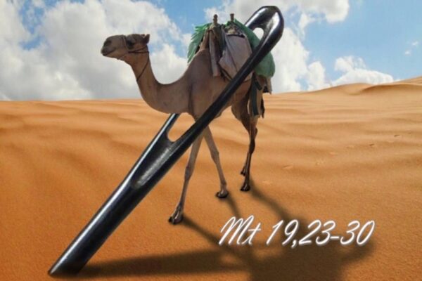 Lời Chúa Ngày 19/08/2025: Thứ Ba tuần 20 Thường niên năm I (Mt 19,23-30)